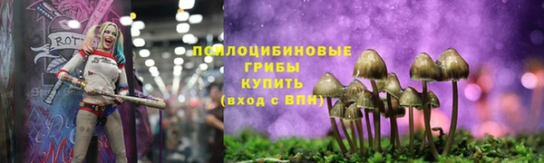 ПСИЛОЦИБИНОВЫЕ ГРИБЫ Волоколамск