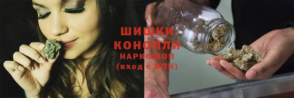 ПСИЛОЦИБИНОВЫЕ ГРИБЫ Волоколамск